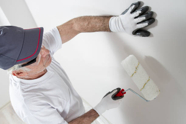 Best Mold Remediation for Healthcare Facilities  in Salem Heights, OH