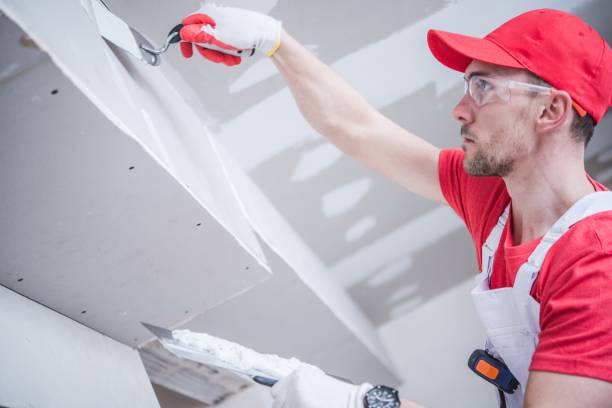 Best Environmental Consulting for Mold Prevention  in Salem Heights, OH